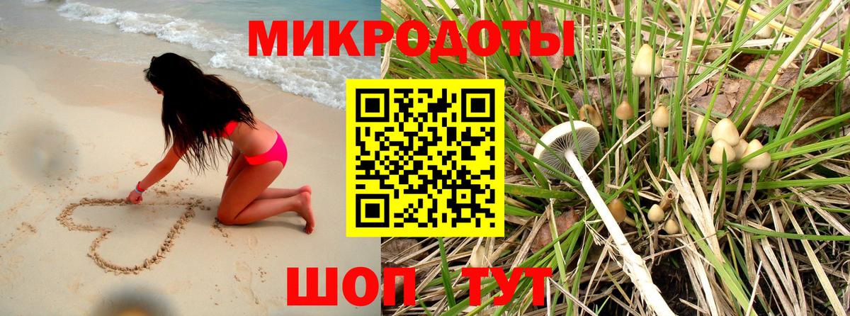 Псилоцибиновые грибы Magic Shrooms  Вход с VPN  наркошоп  Майкоп 